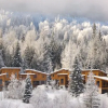 Отель Mountain Town Properties Mountain Project 1, фото 8