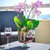 Отель Hôtel restaurant le Torremare, фото 10