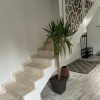 Отель Luxury House Teodora, фото 9