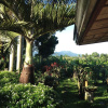 Отель Zacona Eco-Resort and Biblical Garden, фото 6