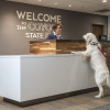 Отель Hampton Inn & Suites Rapid City Rushmore, фото 27