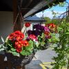 Отель The Barn Courtyard, фото 18