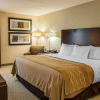 Отель Comfort Inn Bloomington near University, фото 27