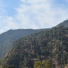 Отель Divy Himalayan Retreat, фото 12