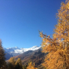 Отель Bergfreude Saas-grund, фото 1