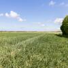 Отель Holiday home Loevesteijn - Ouddorp, garden with terrace, 1000 meters from the beach and dunes - not , фото 8