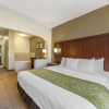 Отель Comfort Suites Castle Rock, фото 4