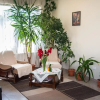 Отель Pensiunea Casa cu Flori, фото 4