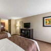 Отель Holiday Inn Express Clemmons (Winston/Salem Area), фото 35