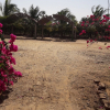Отель Baobab Lodge, фото 21
