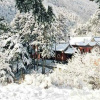 Отель Fo Yuan Inn, фото 10