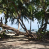 Отель Islander House on Rocky Cay Beach, фото 26