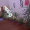 Отель Pensiunea Simona, фото 17