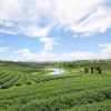 Отель Chayana Resort, фото 13