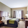 Отель Comfort Inn Blackshear Hwy 84, фото 24