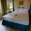Отель Paradise Negril 7 Mile Beach Kingsize Cottage, фото 5