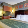 Отель Comfort Inn & Suites Airport, фото 3