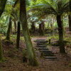 Отель Kells Bay House and Gardens, фото 5
