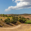 Отель Algarve Race Resort Apartments, фото 33