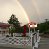 Отель Red Wing Motel, фото 15