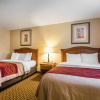 Отель Comfort Inn, фото 14