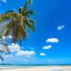 Отель Natien Beach Villa, фото 12