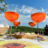 Отель Suite-Agrovillage Resort, фото 10