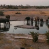 Отель Thobolo's Bush Lodge, фото 23