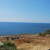 Отель Pomos Villa - Only 50m to the Sea, Picturesque - Tranquil Area, Paphos, фото 32