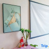 Отель Zhizhiyu Homestay, фото 4
