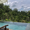 Отель Natya Resort Ubud, фото 11