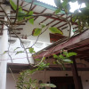 Отель Eco Beach Hotel & Ayurveda Spa, фото 12