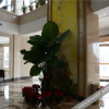 Отель 常州江城大酒店, фото 12