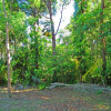 Отель Shady Grove B&B, фото 14