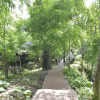 Отель Bago Yoma Eco Resort, фото 21
