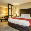 Отель Comfort Suites Lake Norman - Huntersville, фото 7