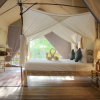 Отель La Cocoteraie Ecolodge- Glamping, фото 3
