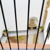 Отель Asvacor Apartamento Plaza del Socorro, фото 8