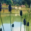 Отель Cabañas Sierra del Tecuan, фото 9