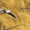 Отель Nambiti Plains Private Game Lodge, фото 25
