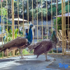 Отель Dali Cangyulou Homestay (Bohai Branch), фото 6