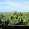 Отель Nature Observatorio Amazing Treehouse, фото 10
