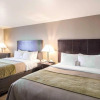 Отель Comfort Inn & Suites Mansfield, фото 7