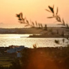 Отель Ciel Paros Villas Kallihroe, фото 18