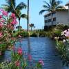 Отель Sanibel Siesta on the Beach Unit 209 2 Bedrooms 2 Bathrooms Condo, фото 1