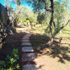 Отель Tuscan Villa, Private Pool and Tennis Court Garden,wi-fi, Ac, Pet Friendly, фото 7