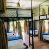 Отель Tarzan's Homestay - Hostel, фото 14