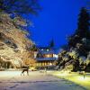 Отель Romantik Hotel Jagdhaus Waldfrieden в Бильзен