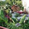 Отель Always Inn San Clemente Bed & Breakfast, фото 26