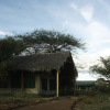 Отель Kimana Amboseli Camp, фото 18